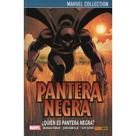 Pantera Negra de Hudlin Vol 1 ¿Quién es Pantera Negra?